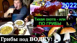 СОБИРАЕМ ГРИБЫ,ГОТОВИМ ГРИБЫ, КУШАЕМ ПОД ВОДКУ ГРИБЫ))ОКТЯБРЬ ПРОДОЛЖАЕТ ДАВАТЬ РЕЗУЛЬТАТ 2022.