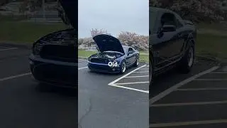 New or old? #mustang #gt500 #shelby #shelbygt500 #v8 #musclecar #america