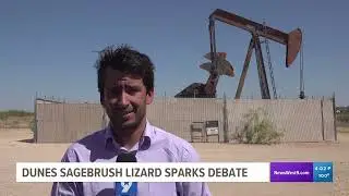 Dunes Sagebrush Lizard back in political spotlight
