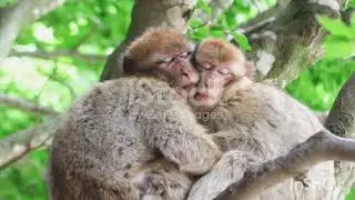 Природа, как же это красиво ,берегите природу😀
