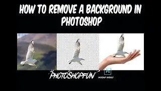 How to remove a background in photoshop. detailed instructions Photoshop Tutorial for Beginners -