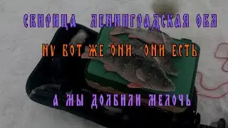 Свирица 11 02 24 ШИКАРНЫЙ БОНУС в конце рыбалки