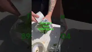 25 мая 2024 г.