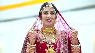 New Wedding Highlight ll Team Zoom Studio Suratgarh ll Wedding Day ll 2024 ll Zoom Studio Suratgarh