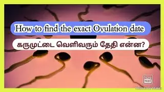 How to find exact Ovulation date in tamil|pregnancy chances days during fertile period