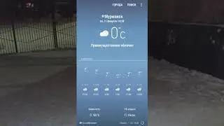 прогулка 11.02.19