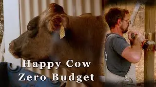 Building Our Milking Shed on a Very Tight Budget - Free Range Homestead Ep. 71