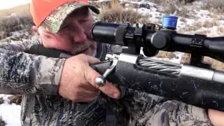 Wyoming elk kill shot