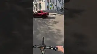 Зебра - БАН