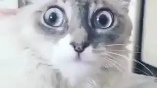 Полезная функция