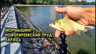 МОРМЫШИНГ -  НОВОГИРЕЕВСКИЙ ПРУД  - КАРАСЬ