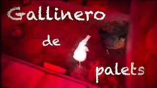 GALLINERO HECHO CON PALETS | Vlog #125