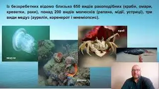 26 августа 2024 г.
