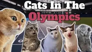 Olympics Paris 2024 / CAT MEMES
