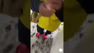 Видео взорвало интернет#shorts#short#viralshorts#viralshort#video#viralvideo#youtubeshorts#dog#funny