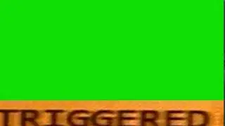 Triggered - Green Screen - Chromakey - Meme Source