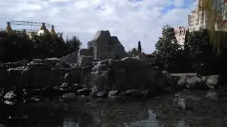 Едем в Сочи, ВЛОГ 2. #ТелешкоФест