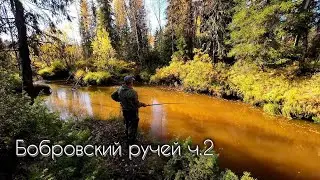 В ЭТОМ РУЧЬЕ ПОЛНО РЫБЫ #чебак #мохтик #ручей #рыбалка #сибирь