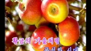 DPRK 7-15 번영하여라 로동당 시대