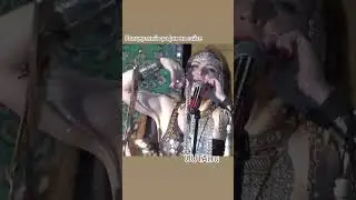 Олена УУТАй 🦅 Концерты 