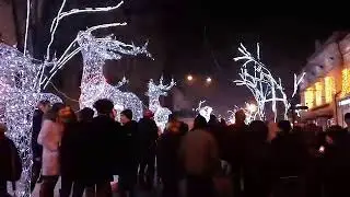Олени