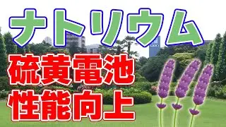ナトリウム硫黄電池のサイクル回数を向上！【ラベンダーオイル】