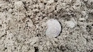 Sortie détection en binôme sous le signe du blanc