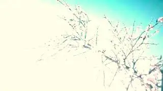 J Hacha De Zola - 