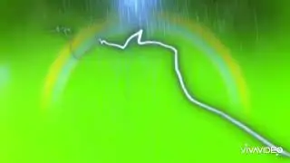 Green Screen Background Video Nature