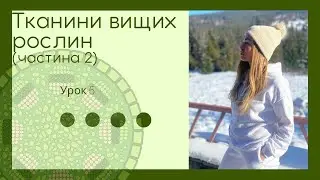 Тканини рослин. Ботаніка. 6 клас. Підготовка до ЗНО