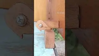 Simple automatic lock for locking wooden gates to keep them open #shorts #diy #woodworking