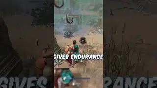 Made For This Is INSANE