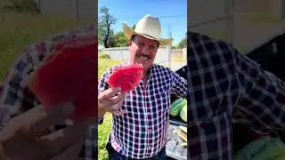 Nuestra Primera Cosecha de Sandía - El Arriero de Ramones