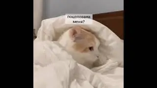 😘 Поцелуйчики Залог крепких отношений - внезапный тьмок 😍