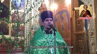 Воскресная проповедь иерея Димитрия Ваулина_27 мая 2018