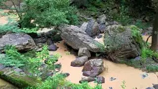 Cascada El salto San Andrés Ixtlán jalisco