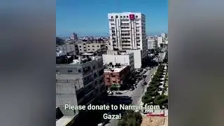 Please donate to my Palestinian Muslim🇵🇸☪️sister Narmin of Gaza|This is her beautiful singing voice!