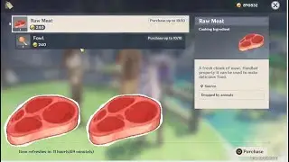 Genshin Impact | Raw Meat Vendor | Draff | Location/Position