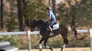 Brentspence field and first jumps 10 30 24