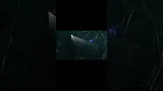 Motion Design