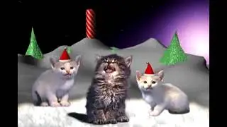 gatos cantando en navidad