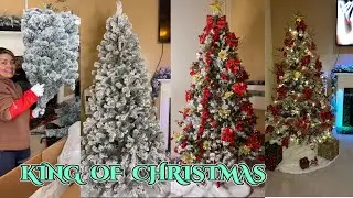 King Of Christmas, Donde Comprar Árbol De Navidad /   Decorando El Árbol De Navidad