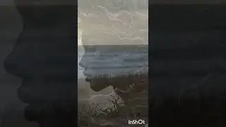 ПЕРВЫЕ ДНИ ПОСЛЕ ПОРЧИ