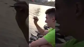 Заметили?