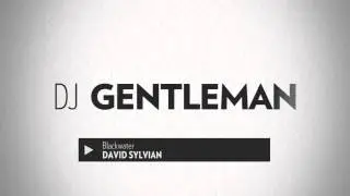 DJ Gentleman 7