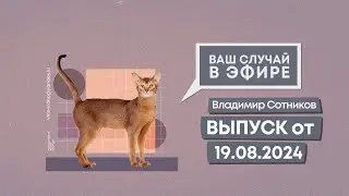 Ваш случай в эфире. Выпуск от 19.08.2024