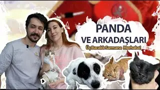 PANDA VE ARKADAŞLARI!: Üç Bacaklı Sarmana Merhaba
