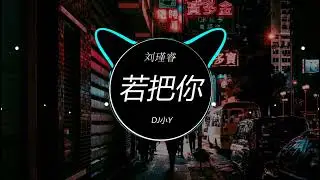刘瑾睿 - 若把你 (DJ小Y ProgHouse Rmx 2023) 慢歌连版, 流行金曲