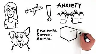 Emotional Support Animal Letter for Travel