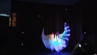Световое шоу Сказочный мир